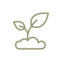 Small plant sprouting from soil