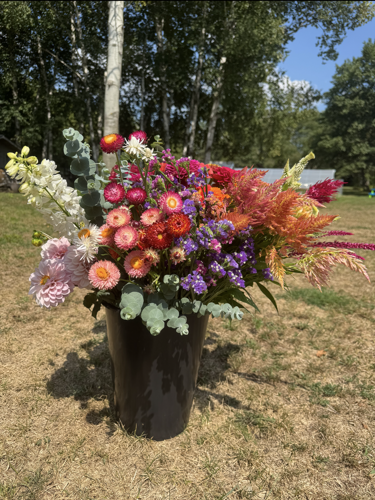 Colorful bouquet of flowers in a black vase outdoors on a sunny day with trees and a blue sky in the background.