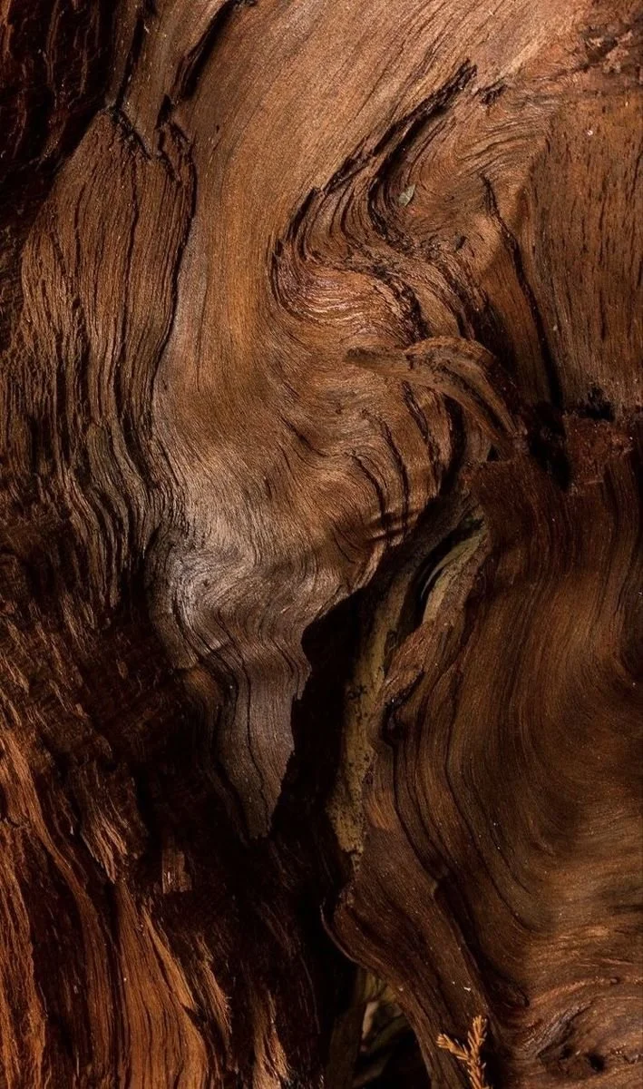 Close-up of textured, weathered wood with swirling grain patterns and rich brown color.