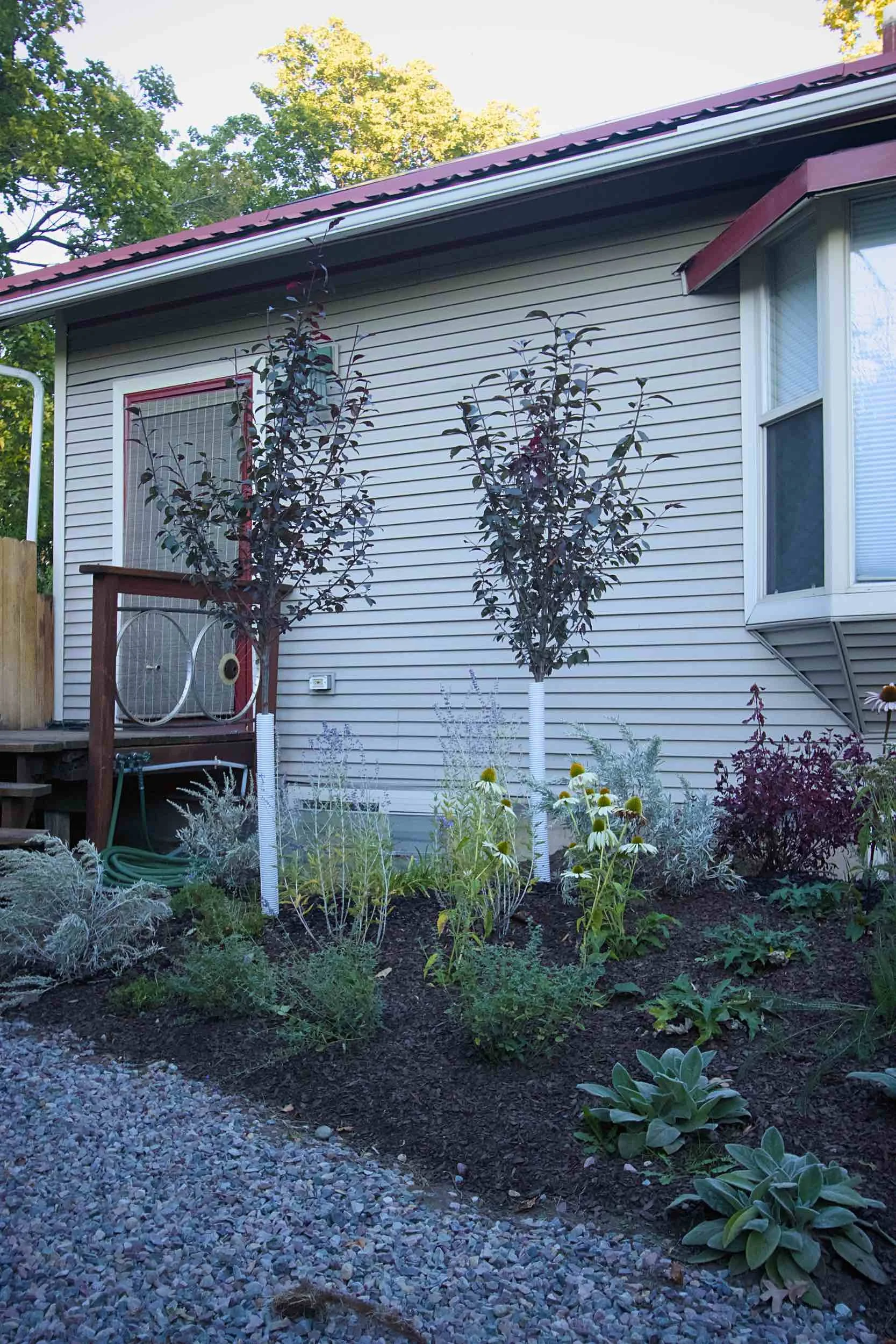 West sideyard.jpg