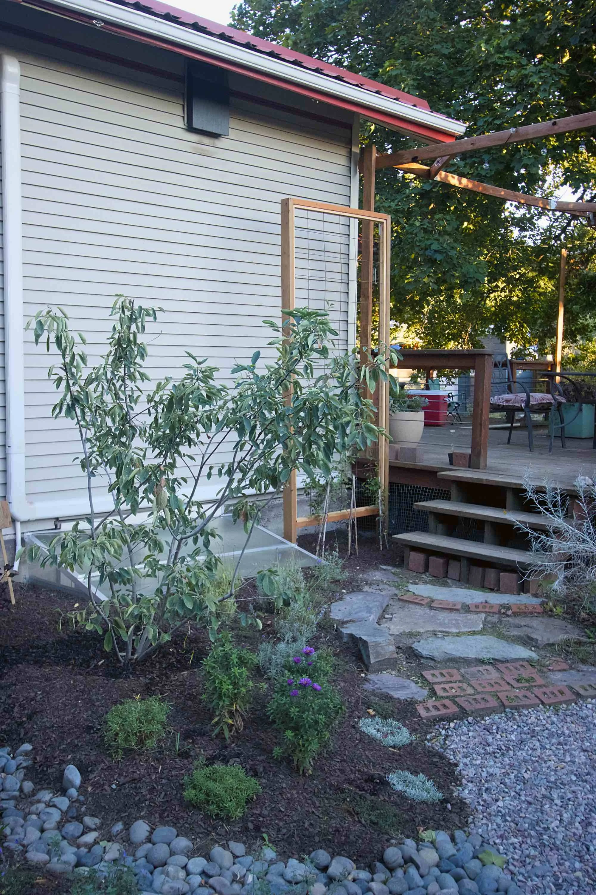 West sideyard trellis.jpg