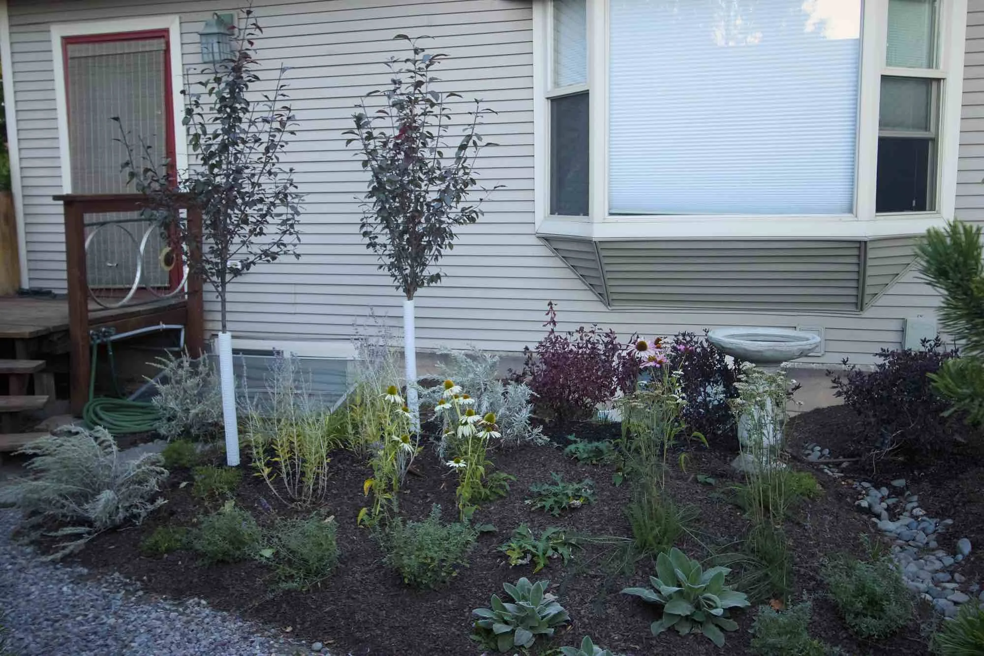 Sideyard overall.jpg