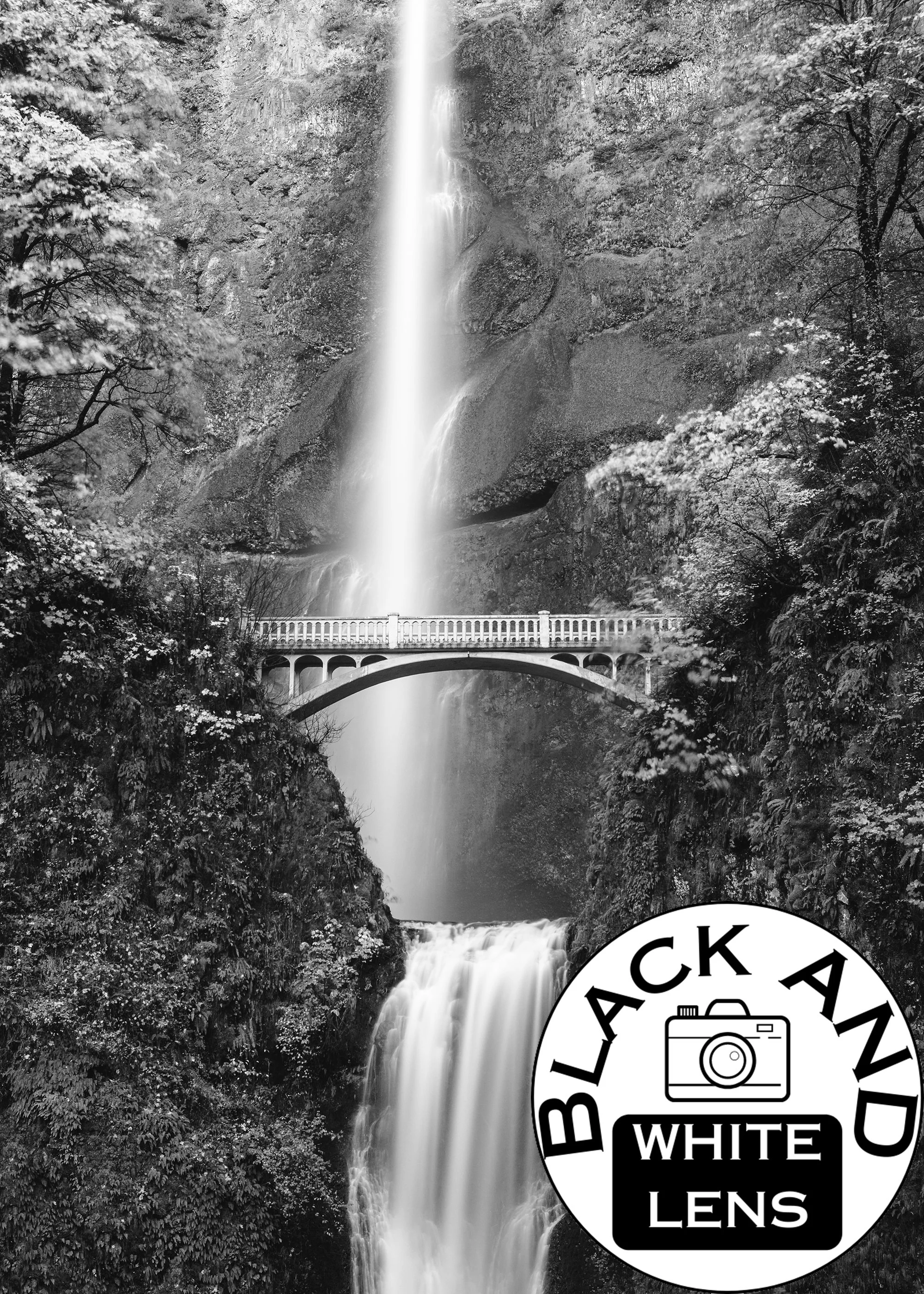 Multnomah Falls black and white photo