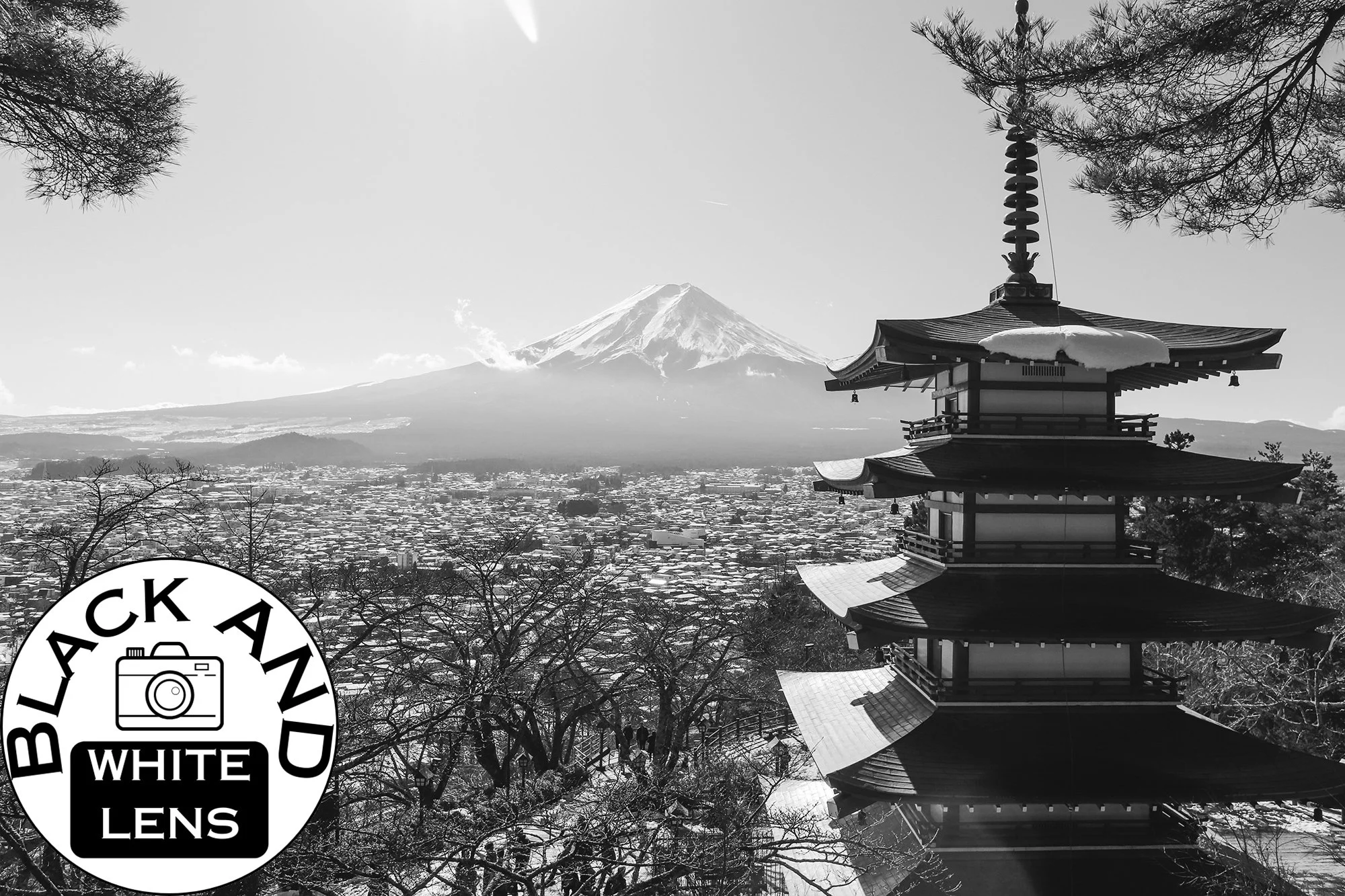 Mount Fuji black and white photo