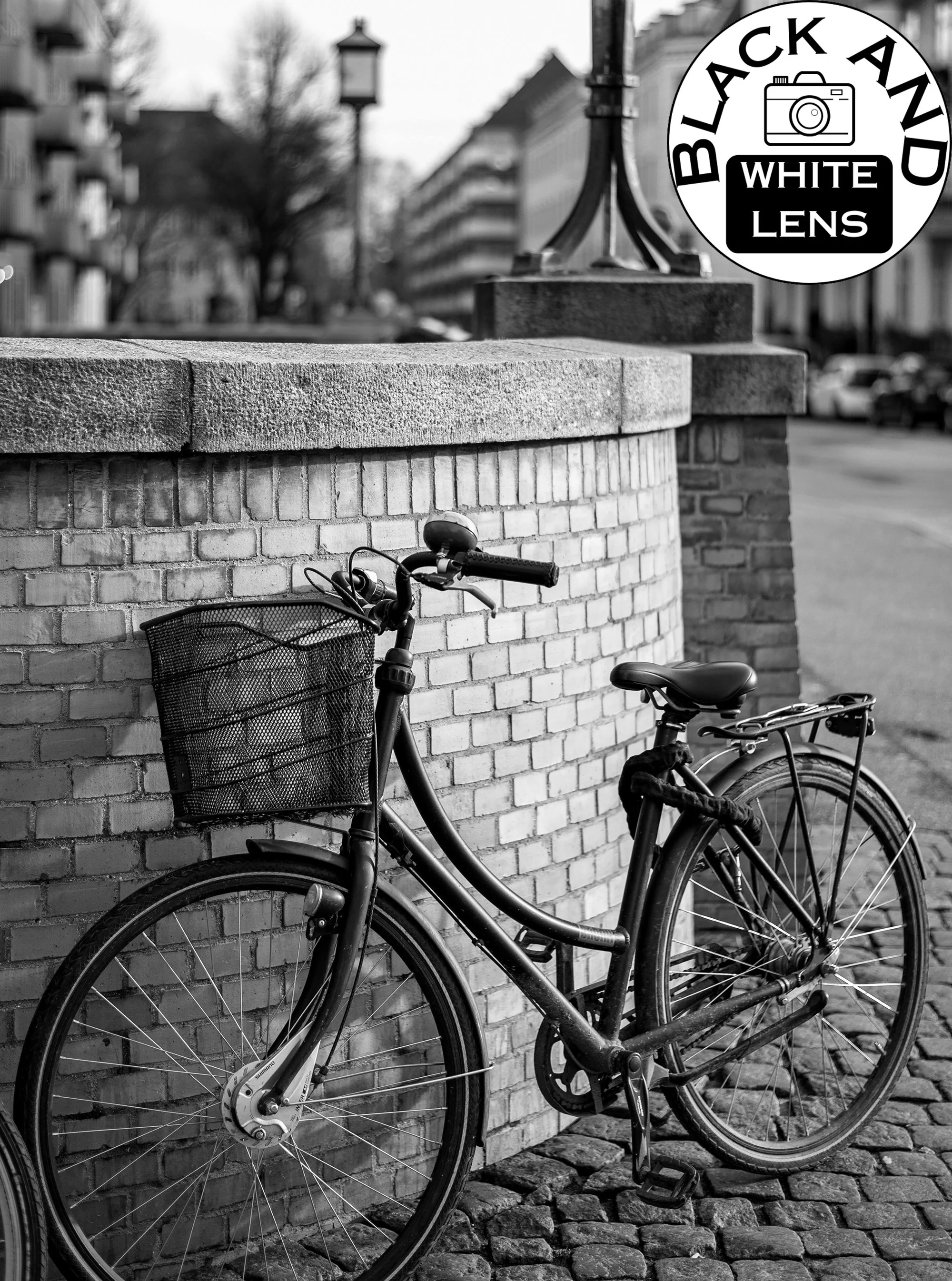 Vintage City Bike black and white photo