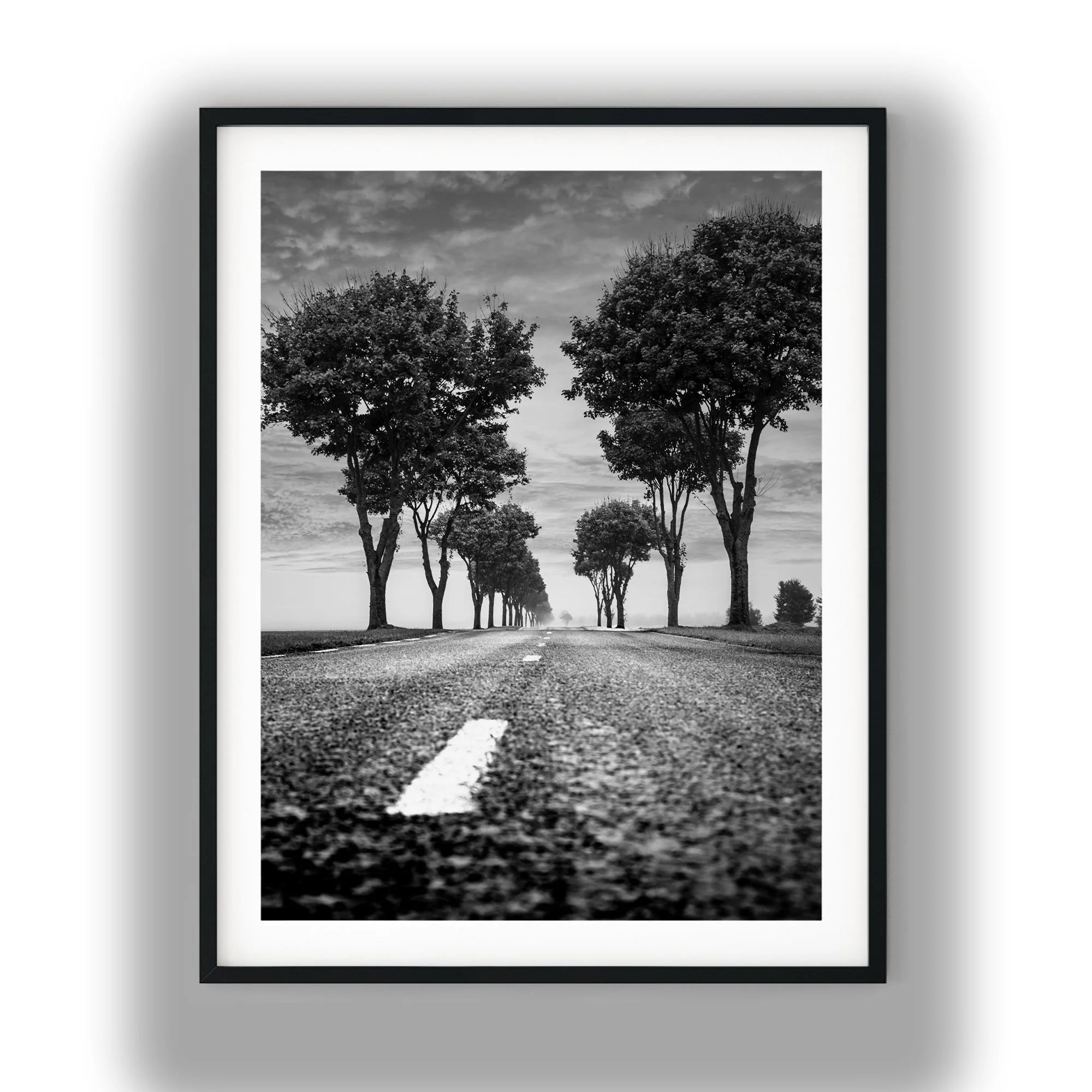 Country Road black and white photo