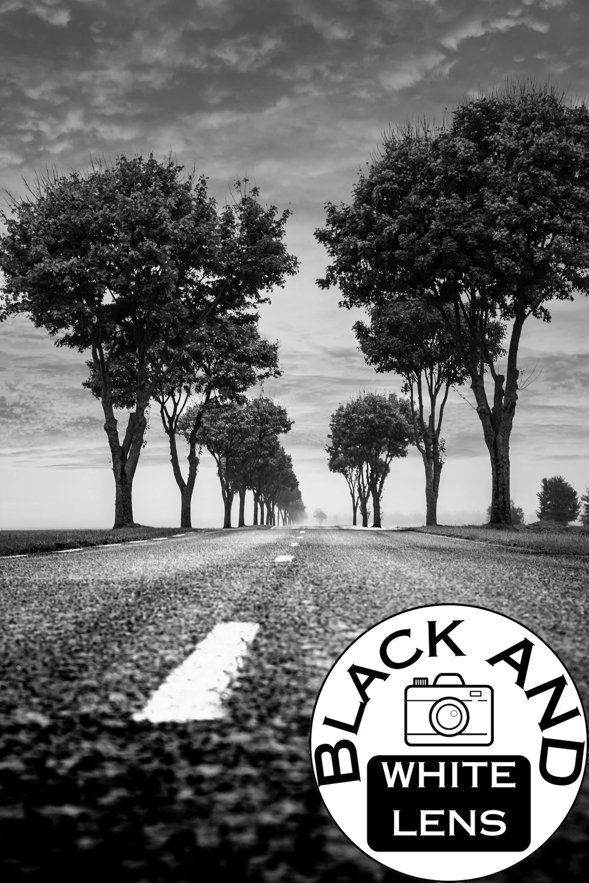 Country Road black and white photo