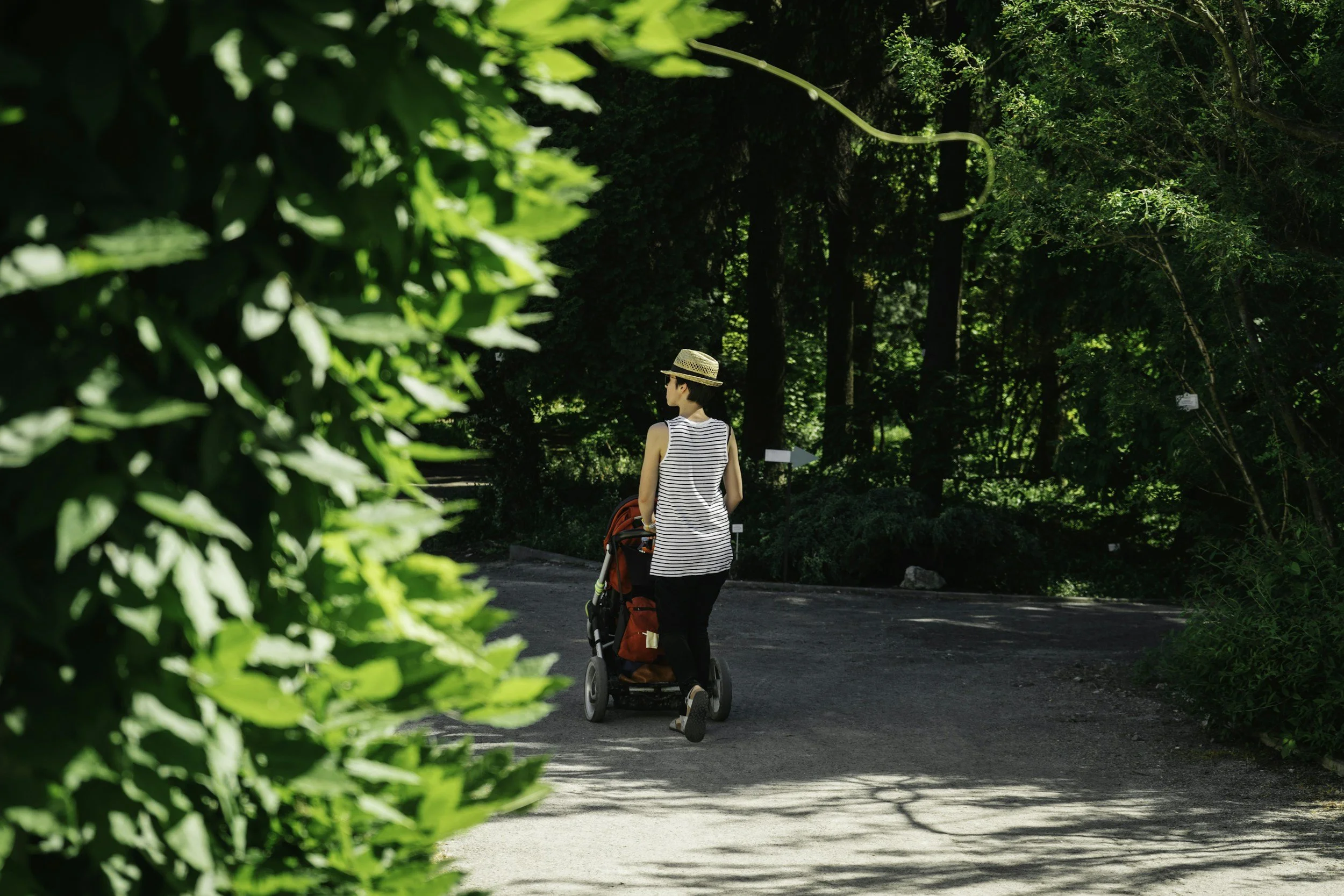 A woman wearing a striped sleeveless top, black pants, and a straw hat pushes a red stroller along a path surrounded by lush green trees.