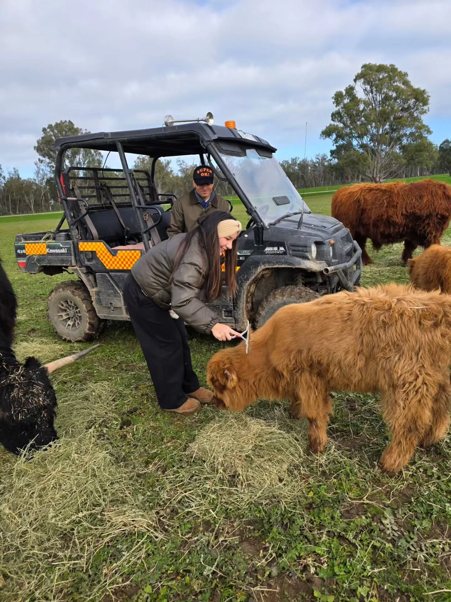 Archie sharing the love with our recent farm tour guests ❤️

#brushahighlandcow #highlandcowfarm #redrockfarmstay #murrayriverfarmstay #redrockfarm
