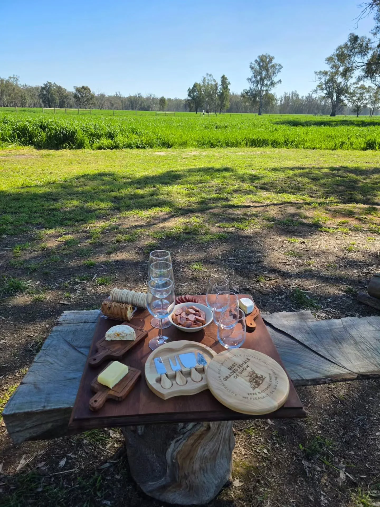 While Ive been away, Ben and Isla have been holding down the fort. 

And what a job they've done! 
They hosted a group of lovely ladies for a hens day, prepared and managed multiple Airbnb and Camping groups, all while keeping the farm running smooth