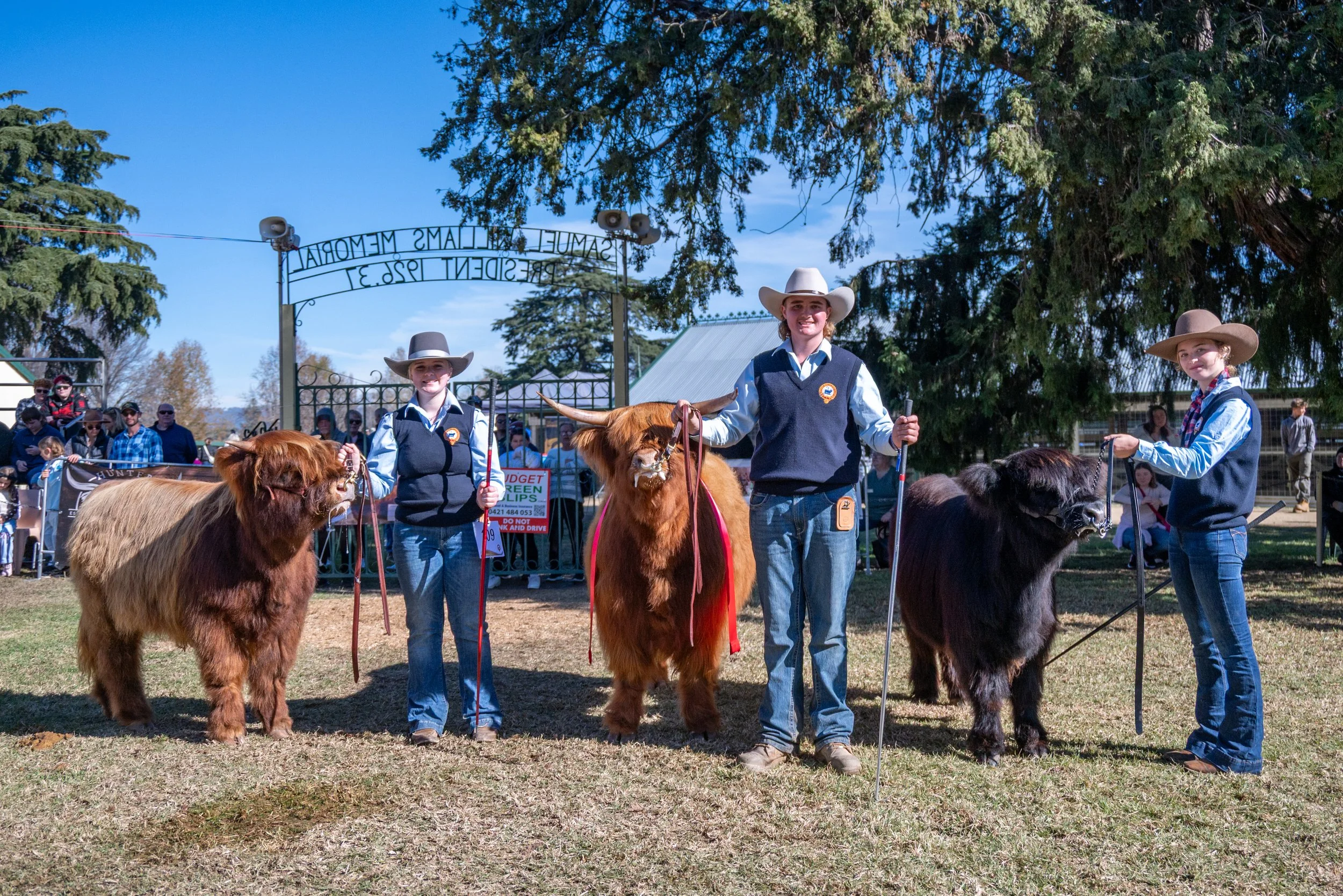 Three young girls dressed in cowboy hats and Western vests standing with large Highland cattle at an outdoor event, with a crowd of spectators in the background and trees under a blue sky.