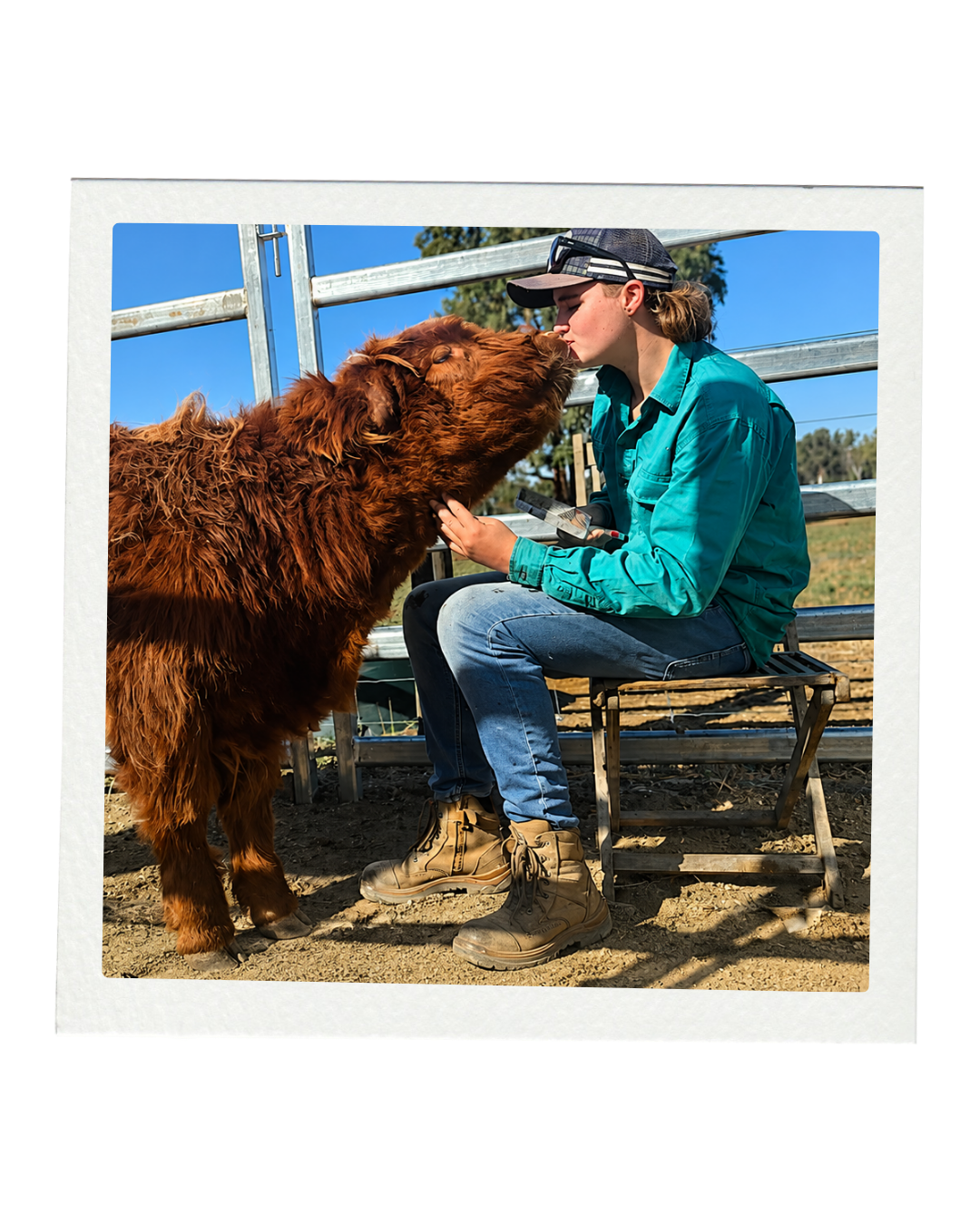 Young woman sitting on a folding chair, leaning in to kiss a large, fluffy brown dog, outdoors on a farm or ranch with a metal fence, trees, and blue sky in the background.