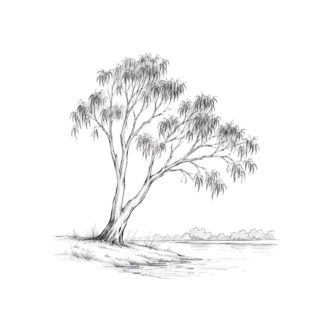 A black and white sketch of a large, leaning tree near a body of water, with grass at its base.