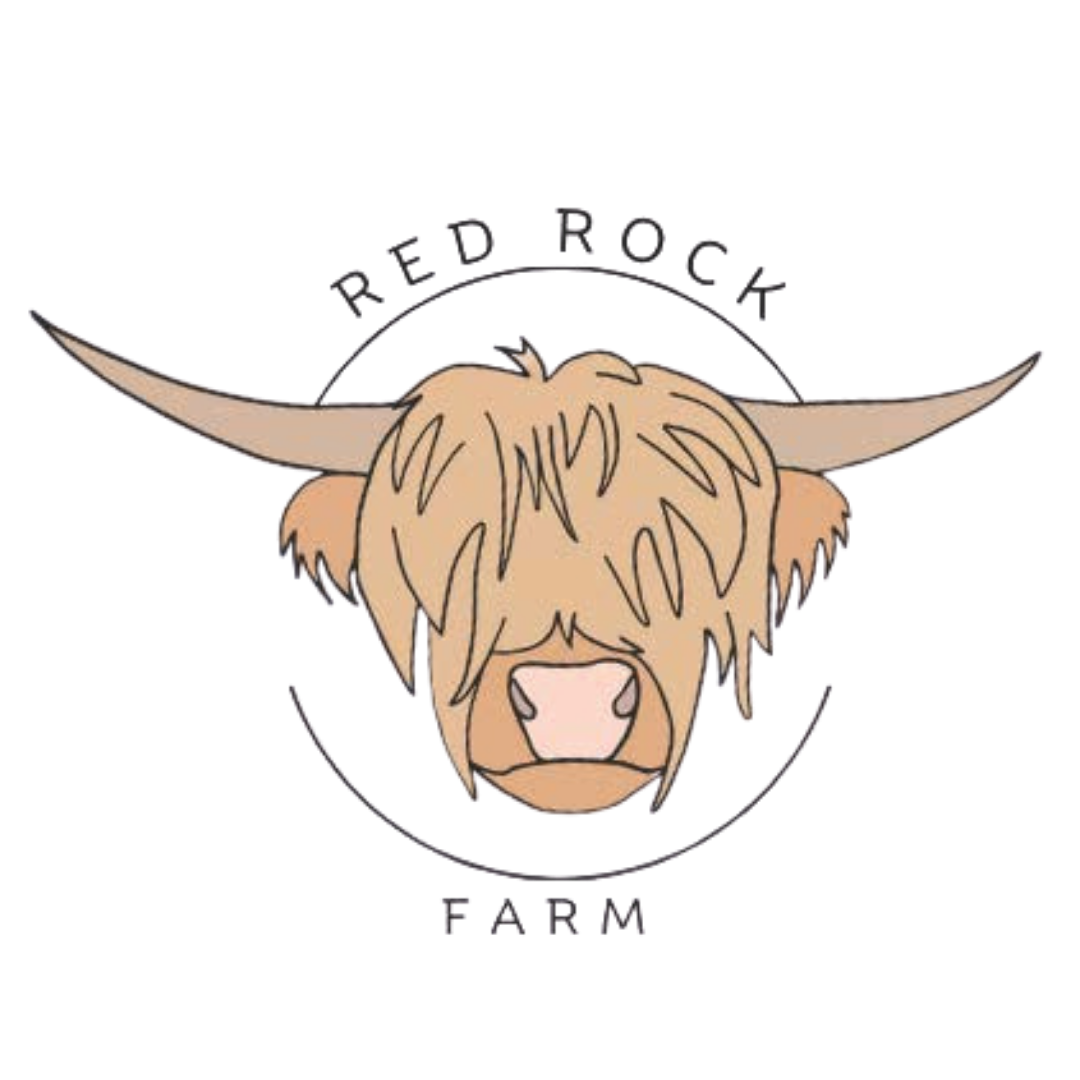 Red Rock Farm | Highland Cows, Farm Tours, Airbnb &amp; Campground