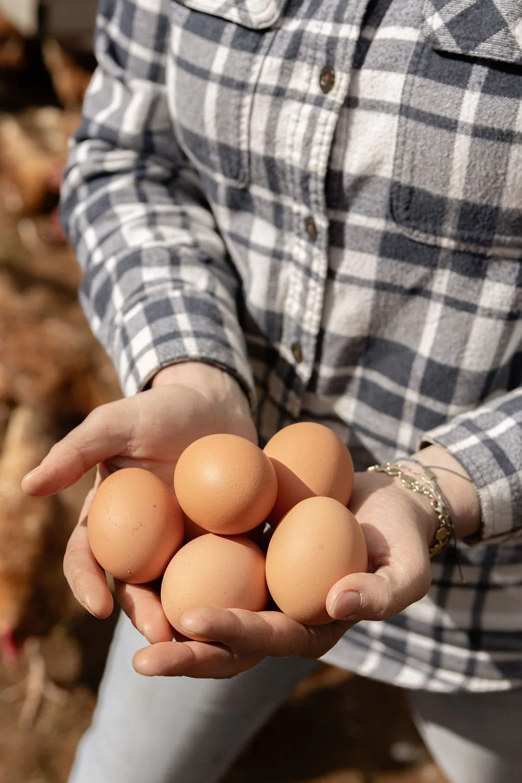 Person wearing a plaid shirt holding a handful of brown eggs outdoors.