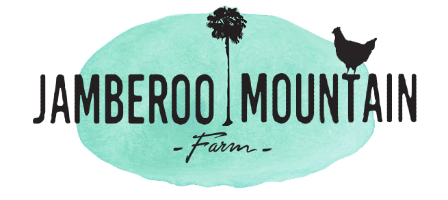 Jamberoo Mountain Farm