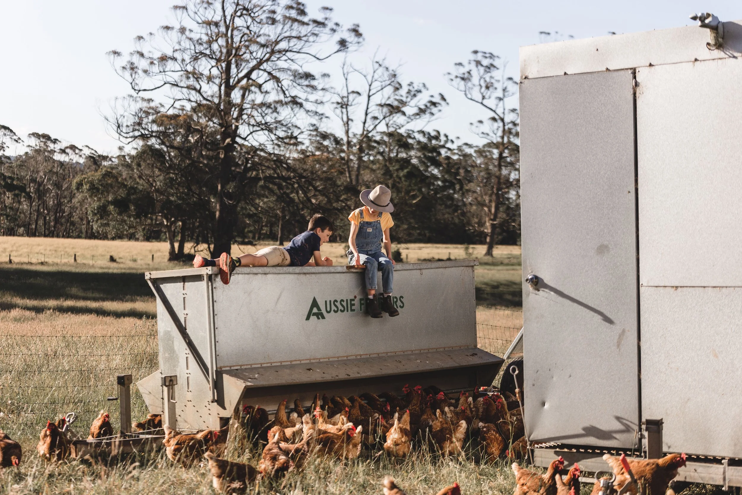 Two children sitting on top of a chicken feeder, with chickens below, in a farm field with trees in the background.