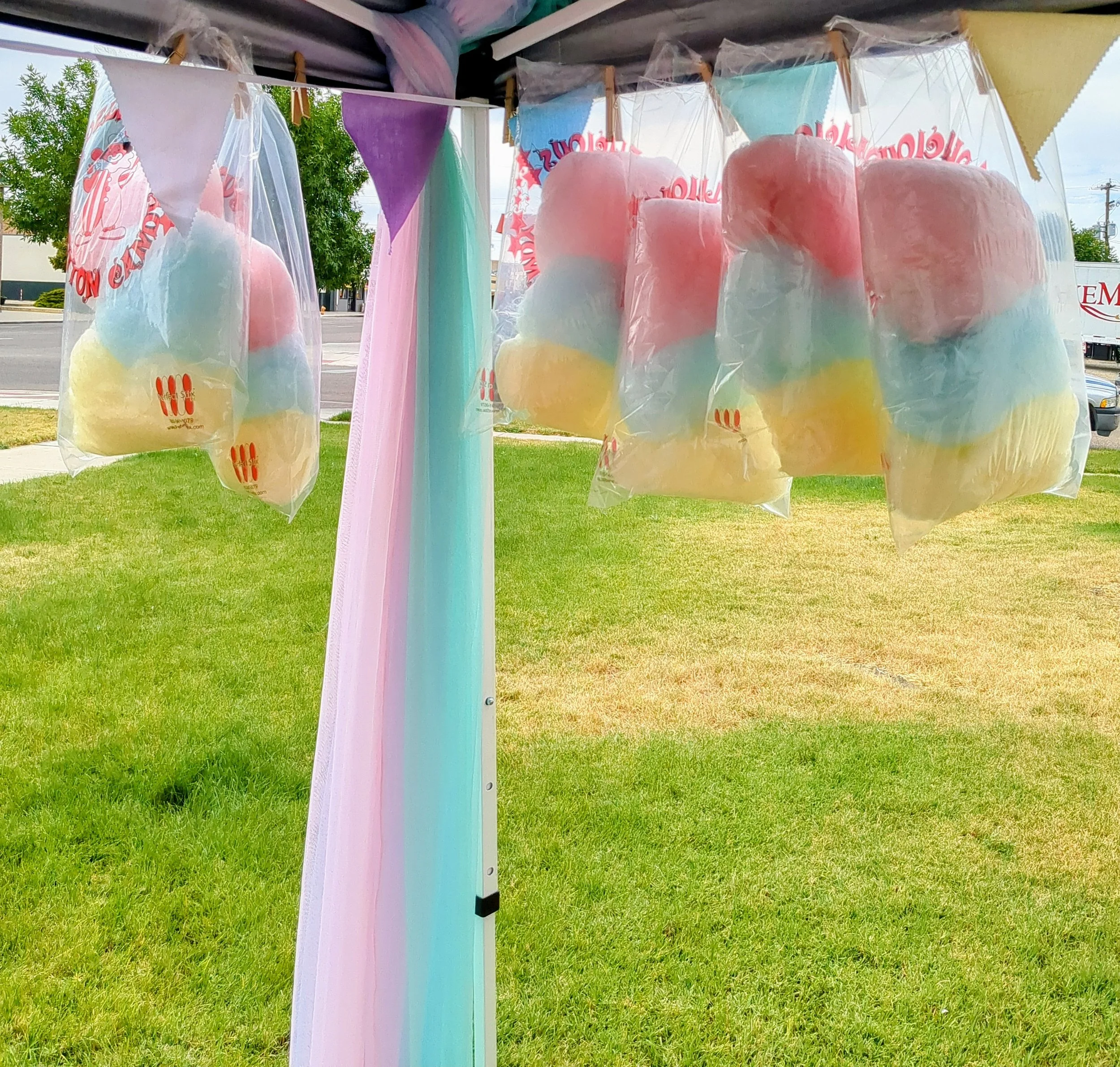 10-pack Large Bag Cotton Candy
