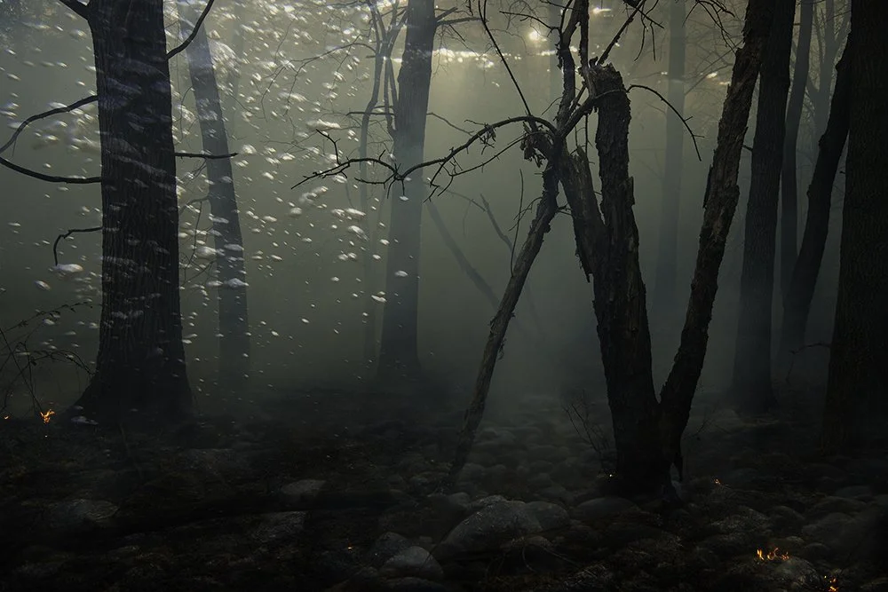 Fire-and-Water_2.jpg