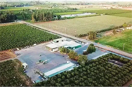 Commercial Black Soldier Fly production facility using SoldierFly Technologies infrastructure.