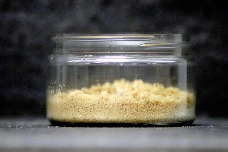 Black Soldier Fly egg on clear container