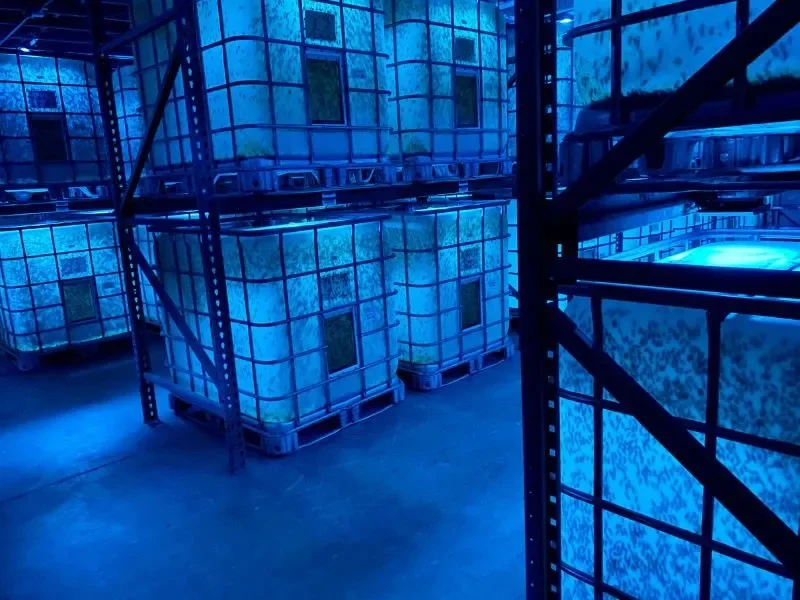 Soldier Fly technologies Breeding Modules. near view