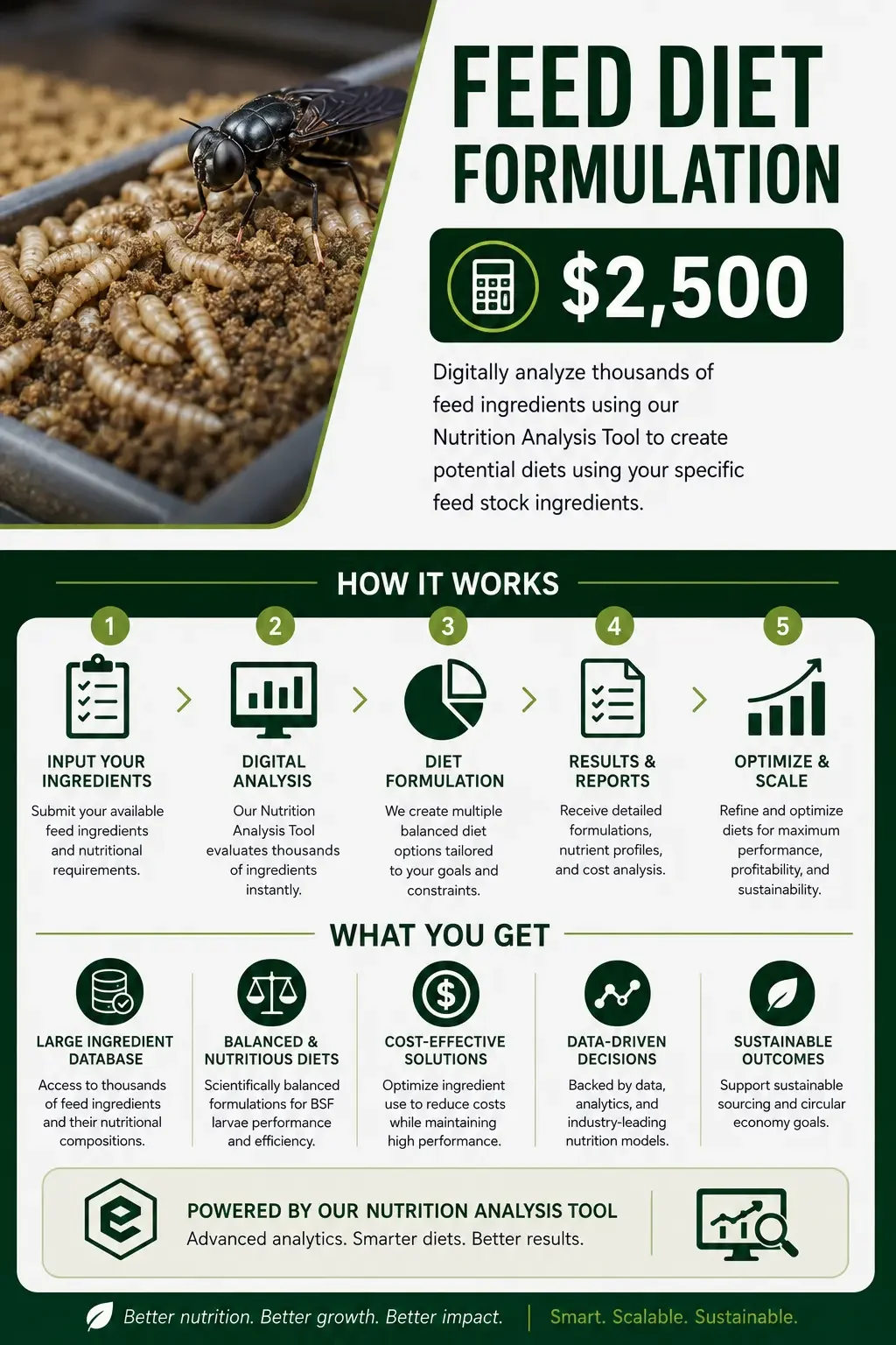 Infographic about a feed diet formulation service priced at $2,500, featuring a black insect on a tray of feed and explaining the process of digital analysis, diet creation, and results for optimizing feed ingredients.