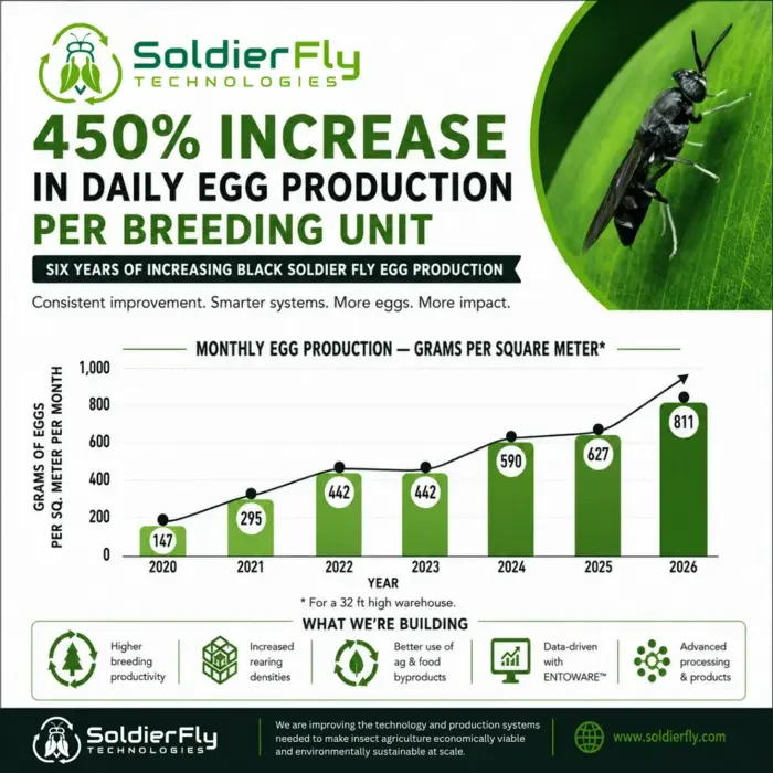 Soldier Fly Technologies increased Black Soldier Fly egg production from 147g to 811g per square meter of breeding space per month between 2020 and 2026.
