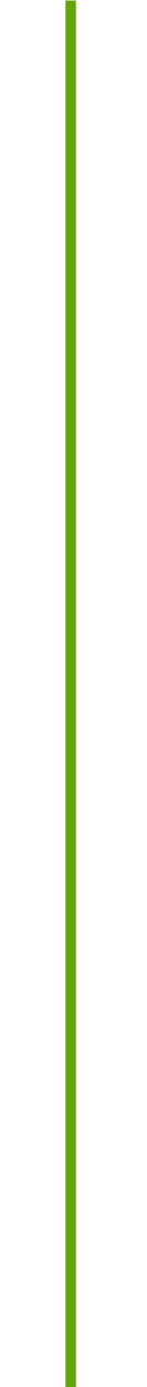 a green vertical line