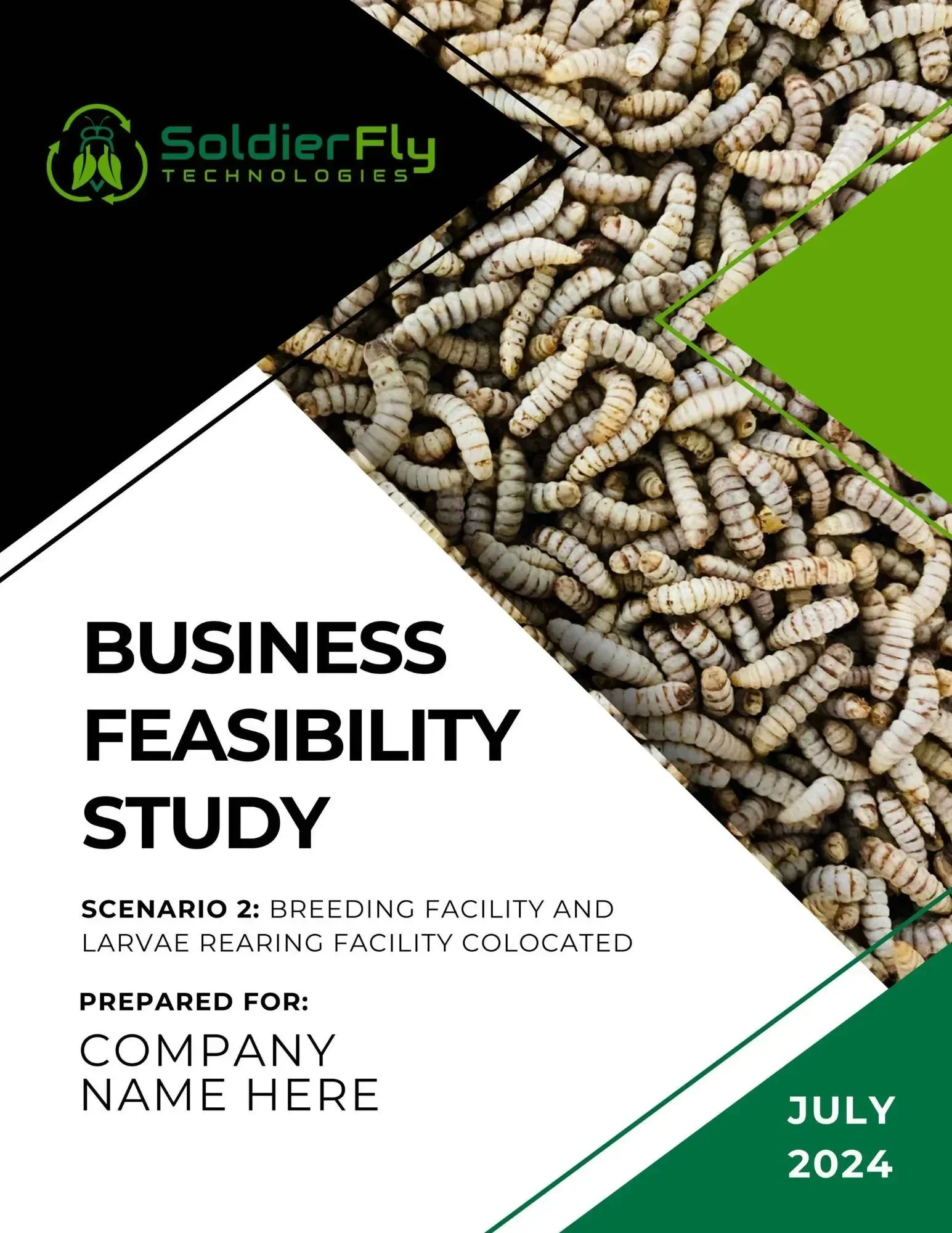 Soldier fly Technologies Business Feasibility Study cover photo