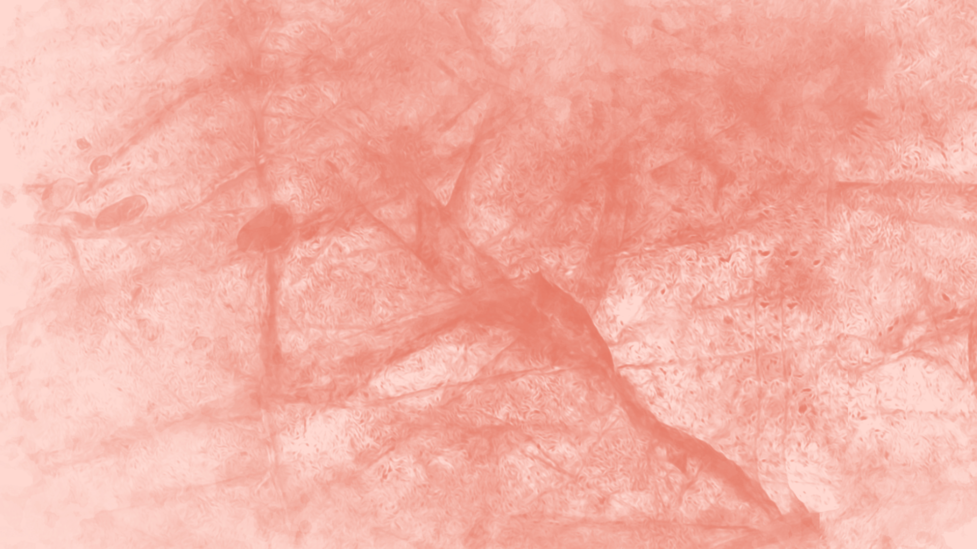 Background 7.png