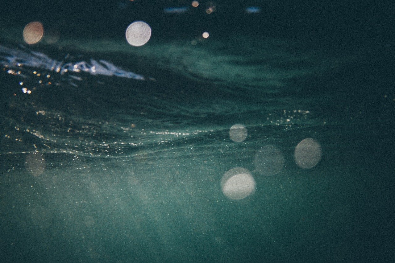 underwater-2618401_1280.jpg