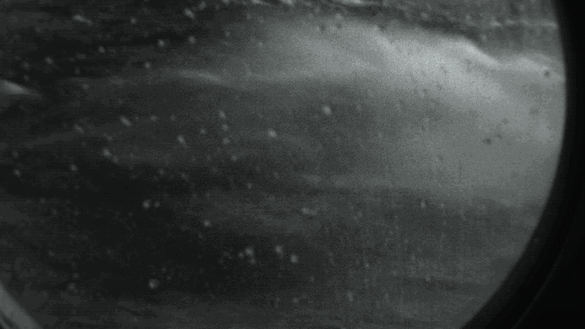 Thalassaphobia | Book