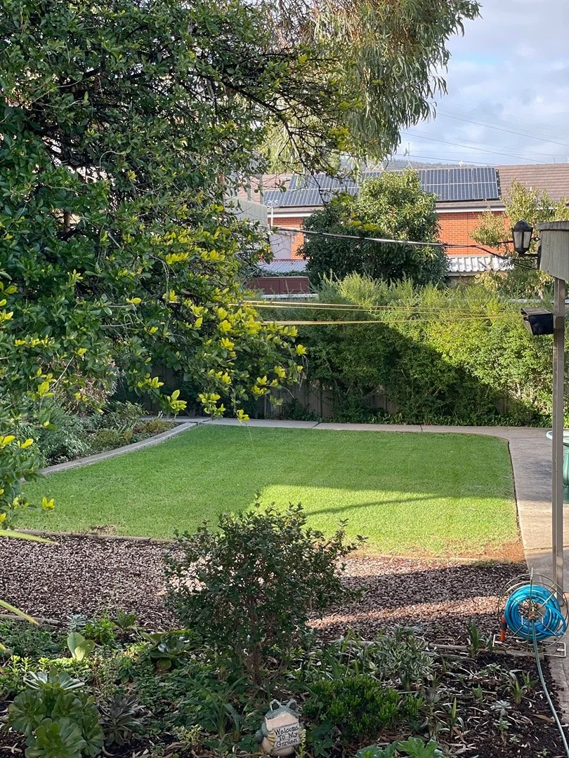 A backyard with a grassy lawn, surrounded by bushes and trees, with solar panels on rooftops in the background and a small garden bed in the foreground.