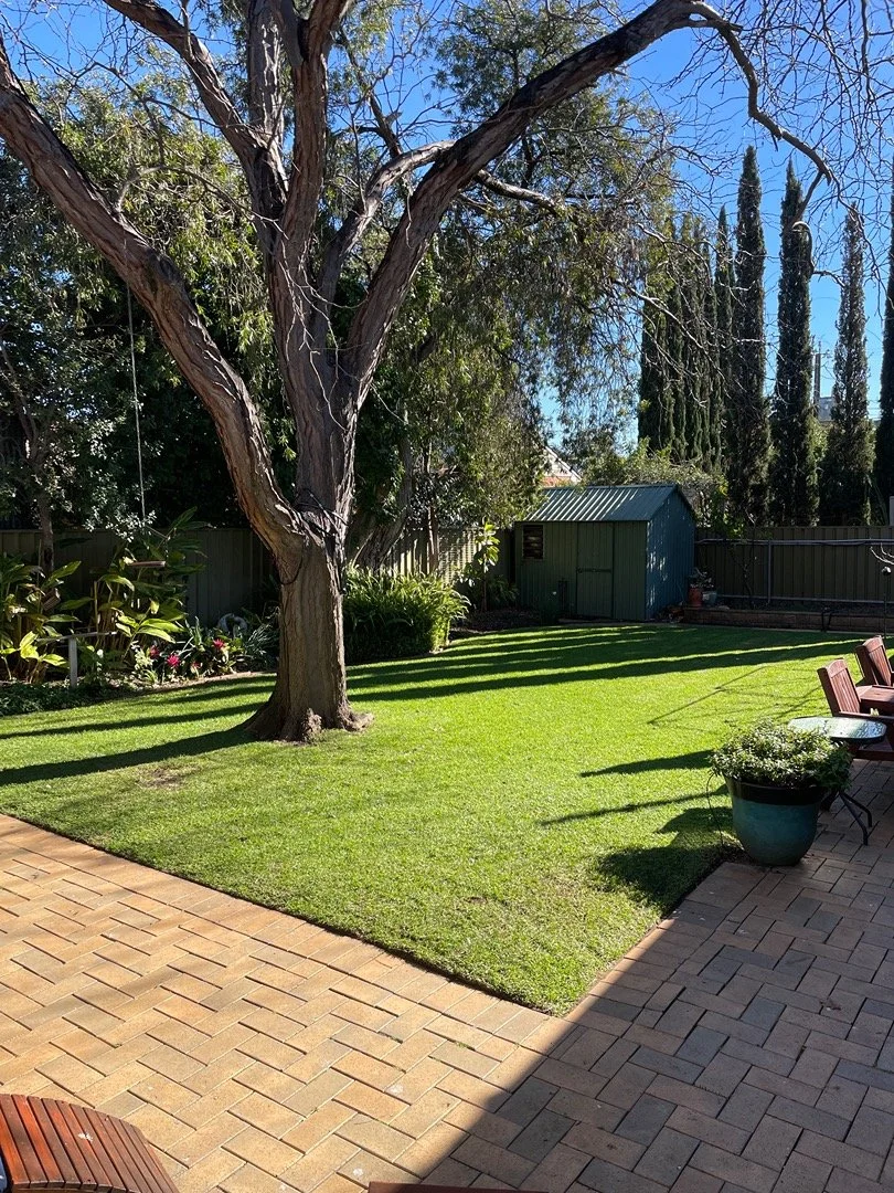 A backyard with a large tree, a green shed, a brick patio, a flower bed with various plants, and a seating area with chairs and a potted plant, under a clear blue sky.