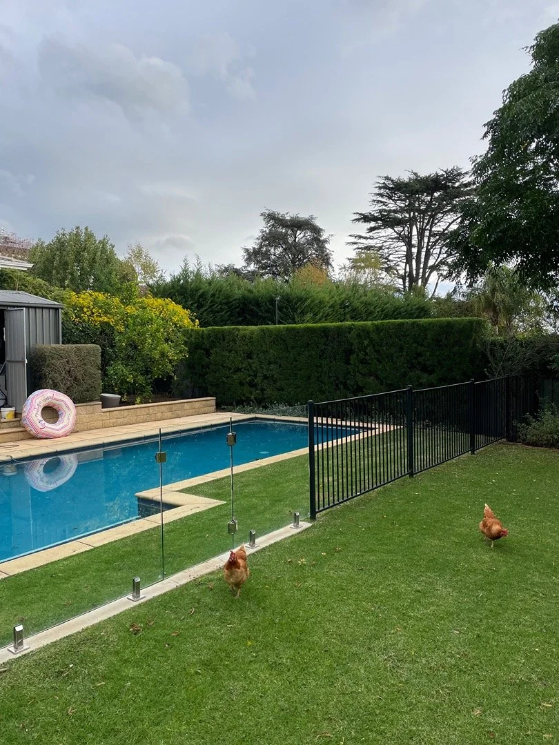 A backyard with a swimming pool, surrounded by a glass fence and lush greenery, including trees and bushes. Two chickens are grazing on the grass near the fence. The sky is cloudy.