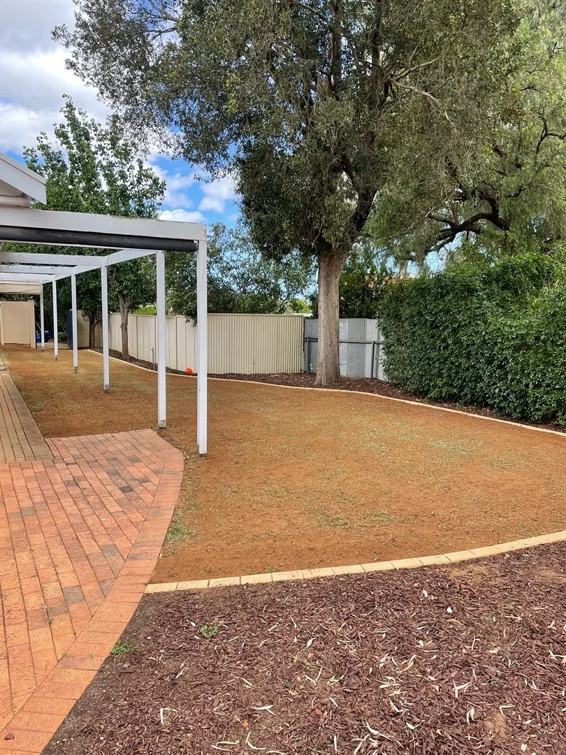 Backyard with a large tree, a white fence, a brick patio, and a grass area with red mulch in the foreground.