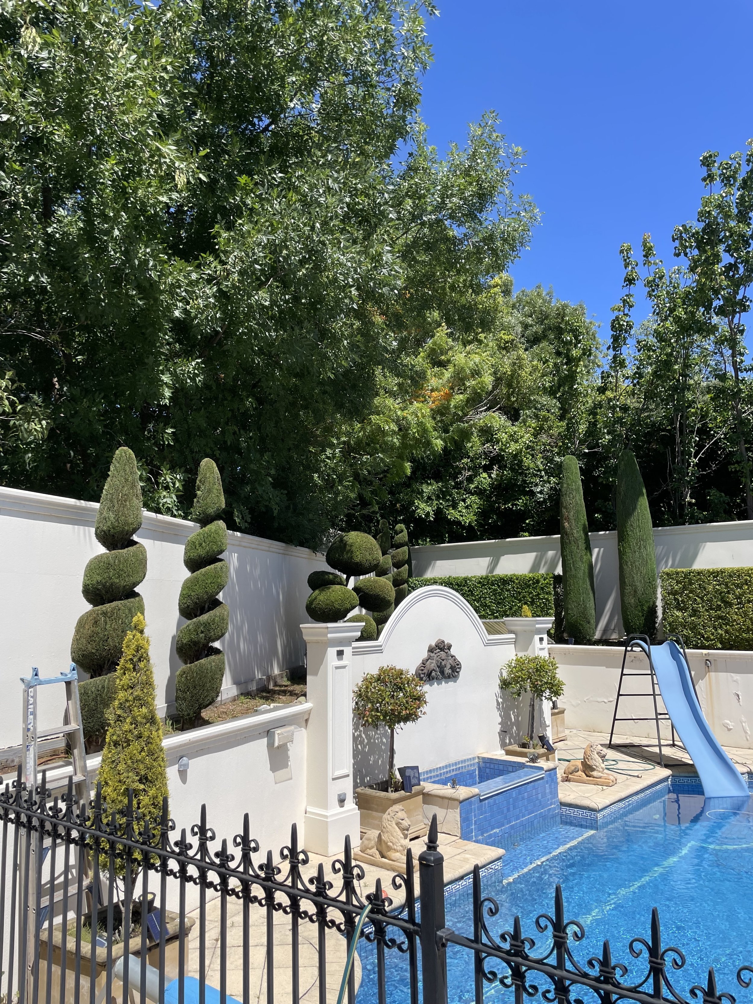 Backyard with a swimming pool, decorative topiary plants, a blue slide, and a white fence. Tall trees visible beyond the fence, under a clear blue sky.