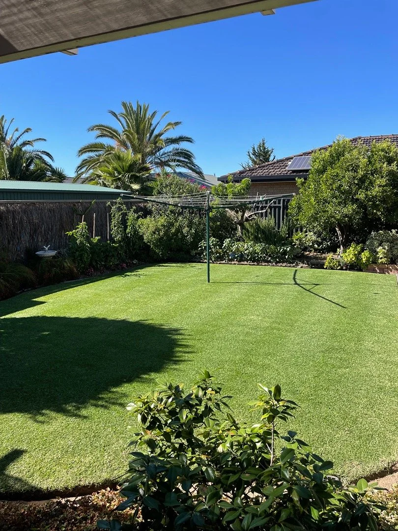 A backyard with a well-maintained green lawn, surrounded by various bushes and trees, including palm trees. There is a rotary clothesline in the center, under a clear blue sky, with rooftops of neighboring houses visible in the background.
