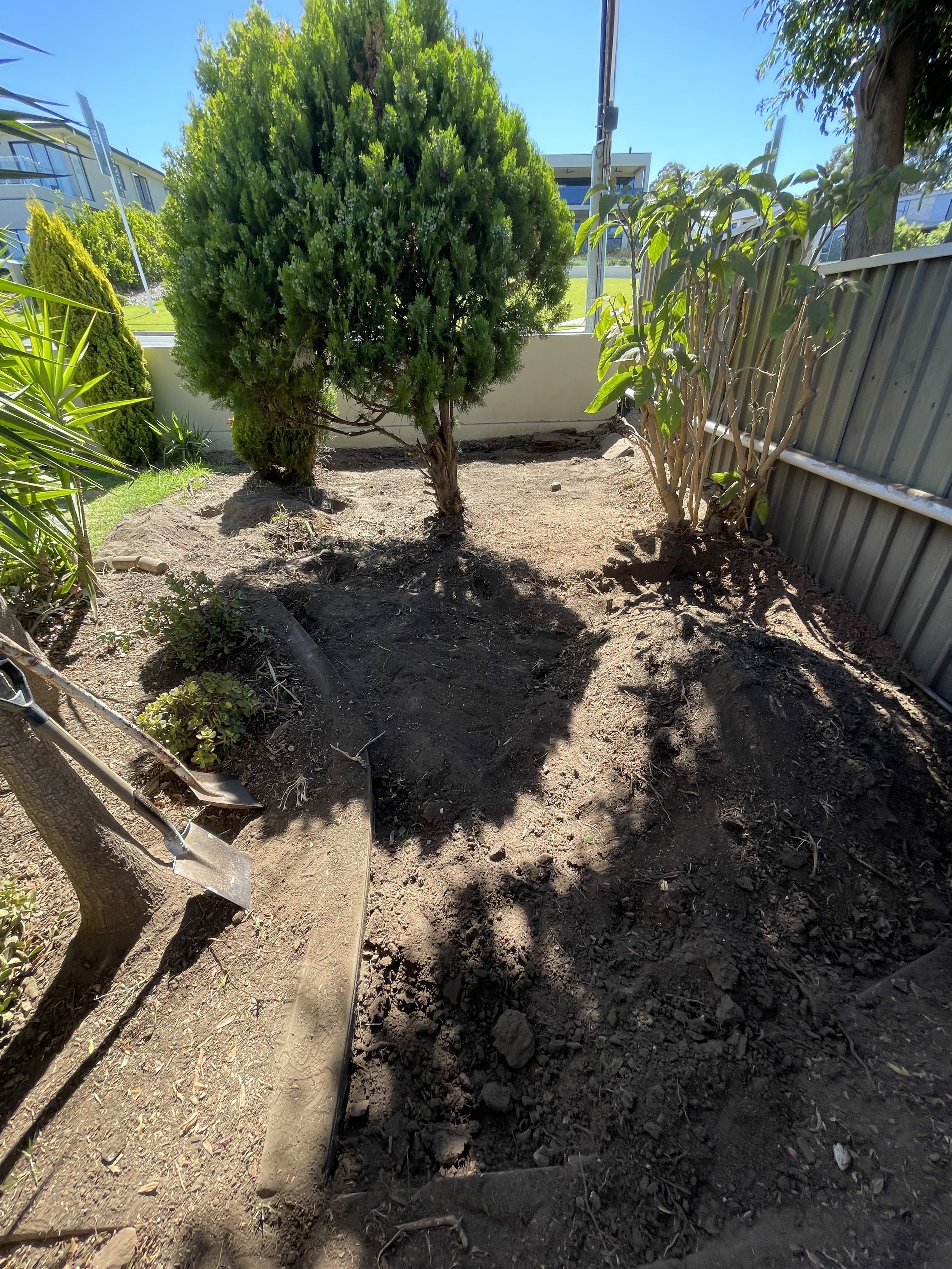 D.C before lawn install.jpg