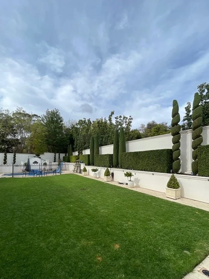 A backyard with a lush green lawn, decorative topiary trees, and a white wall with potted plants. There is a small swimming pool with a slide and a fenced area with an umbrella and outdoor furniture. The sky is partly cloudy.