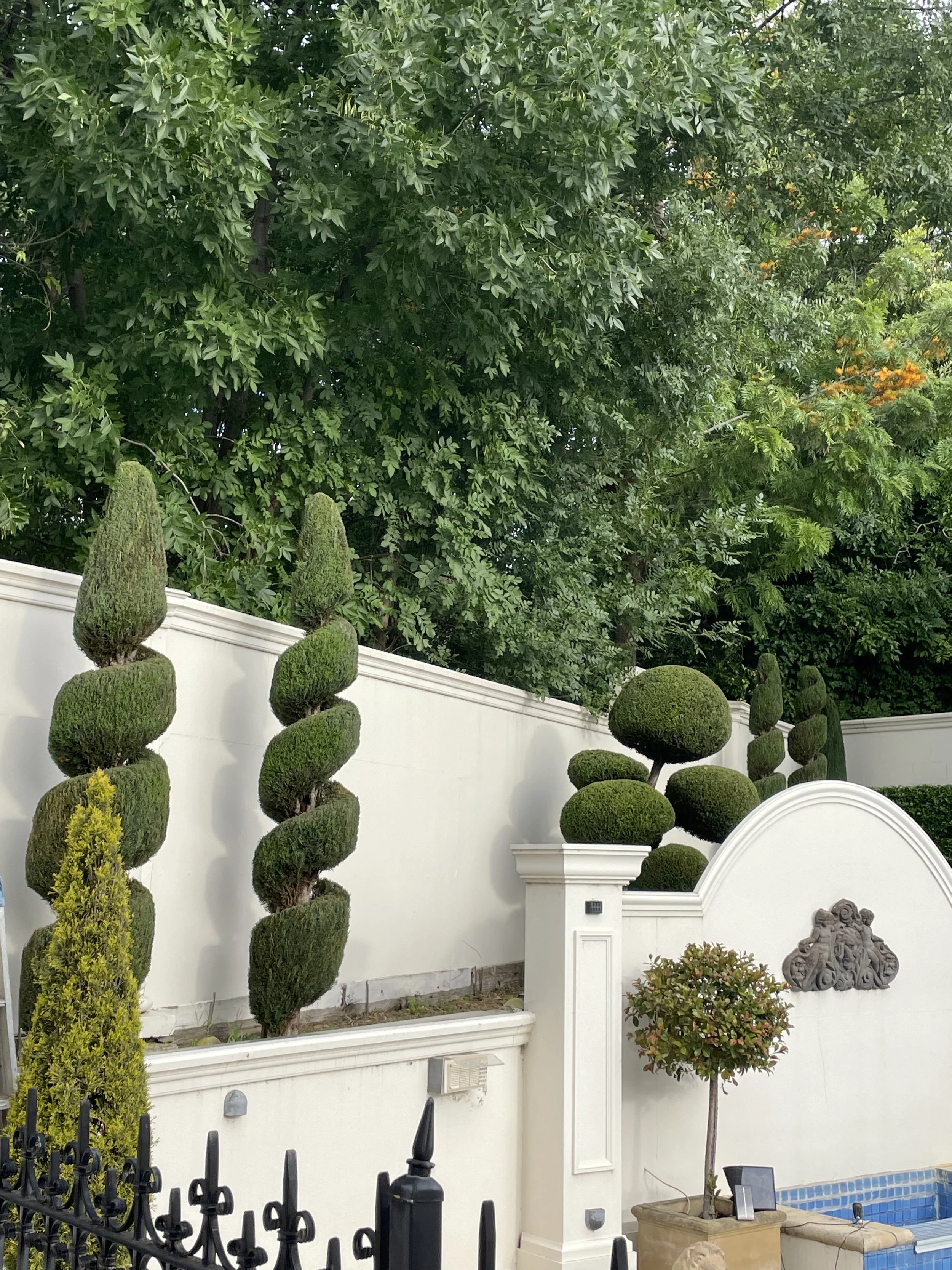 Hedging