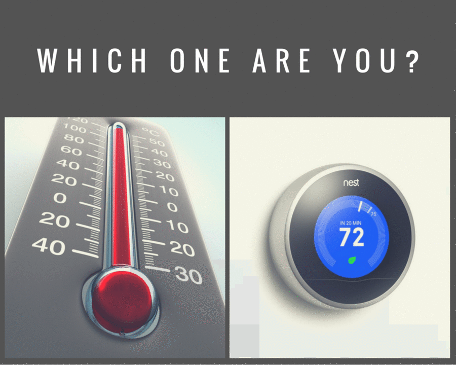 Thermometers and Thermostats: The Two Roles of Leadership