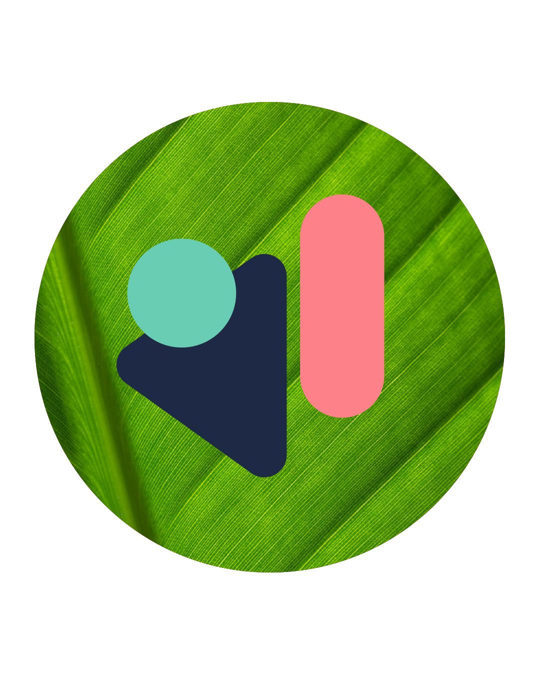 Abstract logo with a green leaf background and geometric shapes in pink, teal, and dark blue.