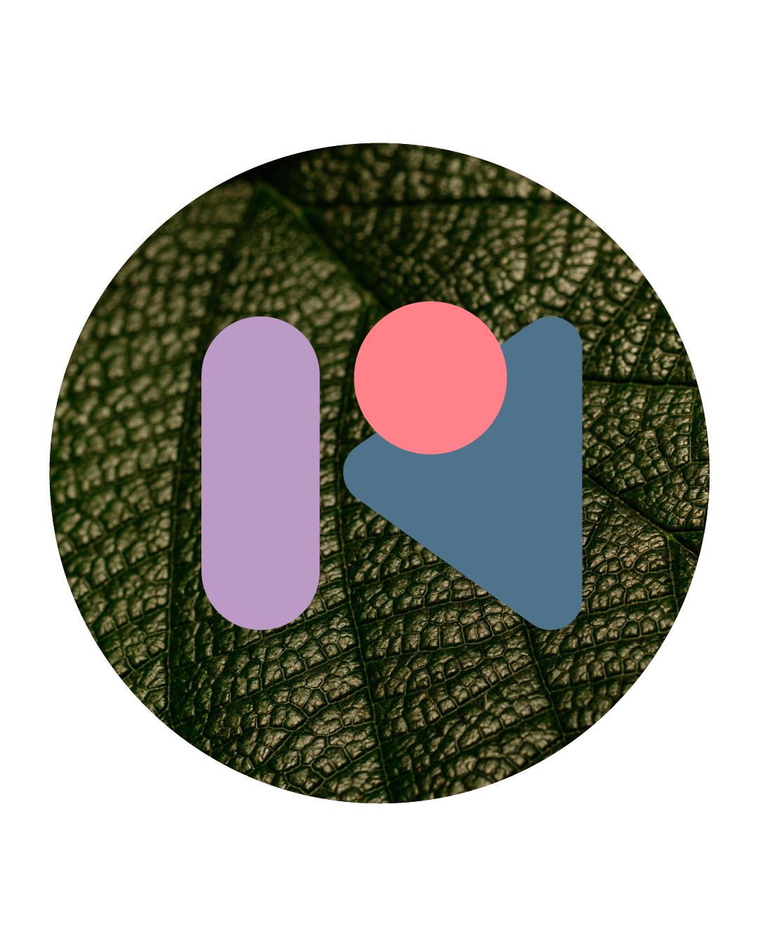 Movementum delivers hands-on manual handling training, consultancy and education for care organisations, therapists and families across the Illawarra and NSW.