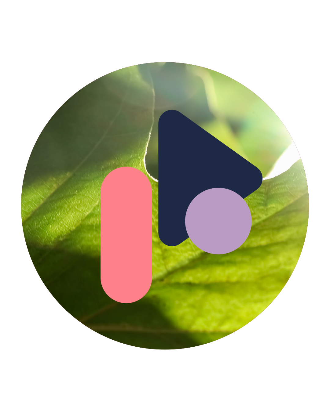 Abstract logo with shapes in pink, dark blue, and lavender on a green leaf background.