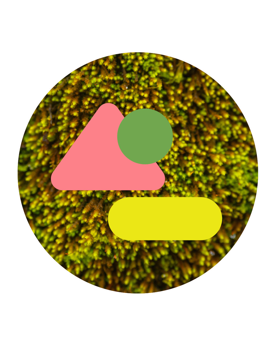 Abstract graphic with colorful geometric shapes over a background of yellow moss.