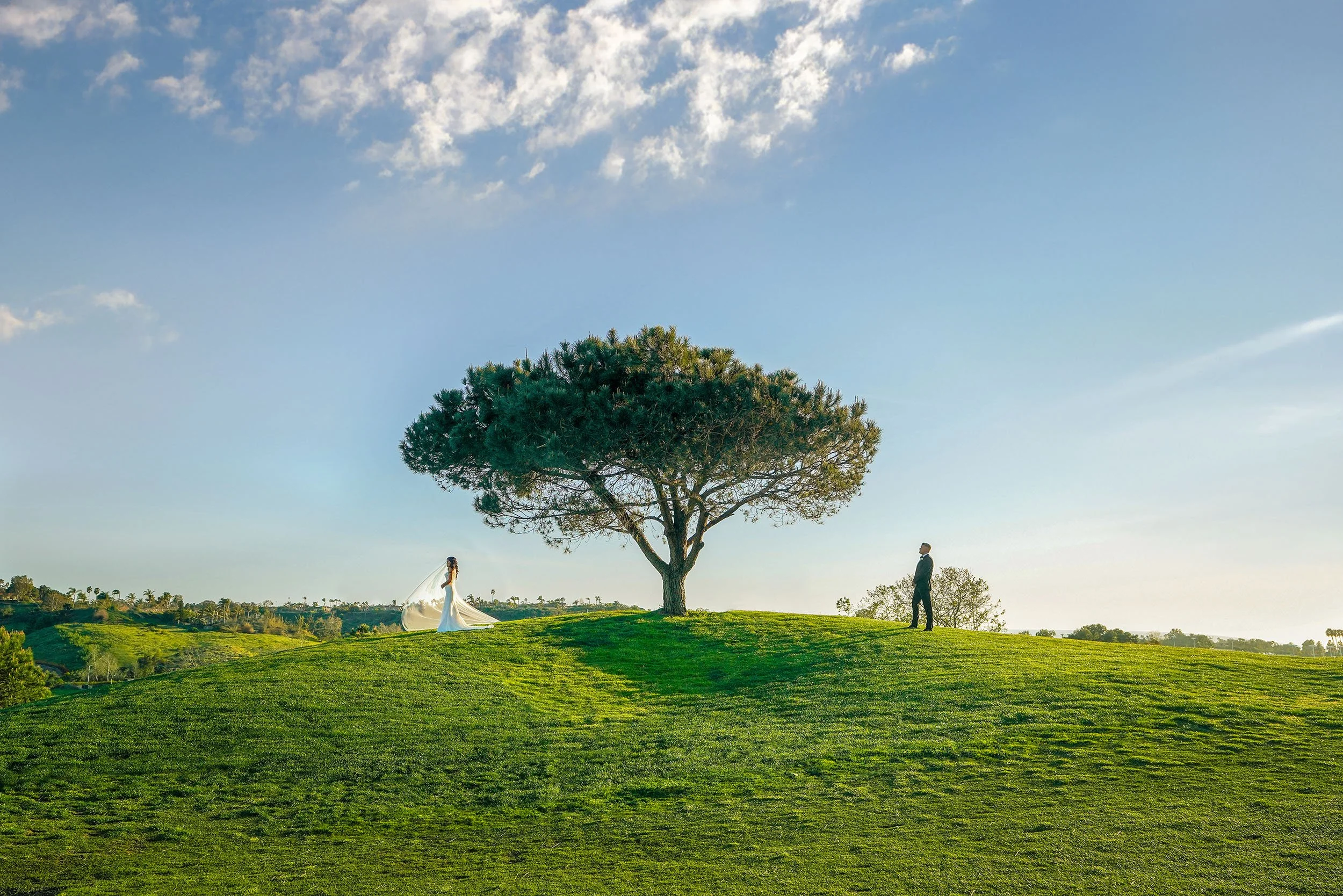 bride-and-groom-on-grassy-hill-wedding-photo.jpg