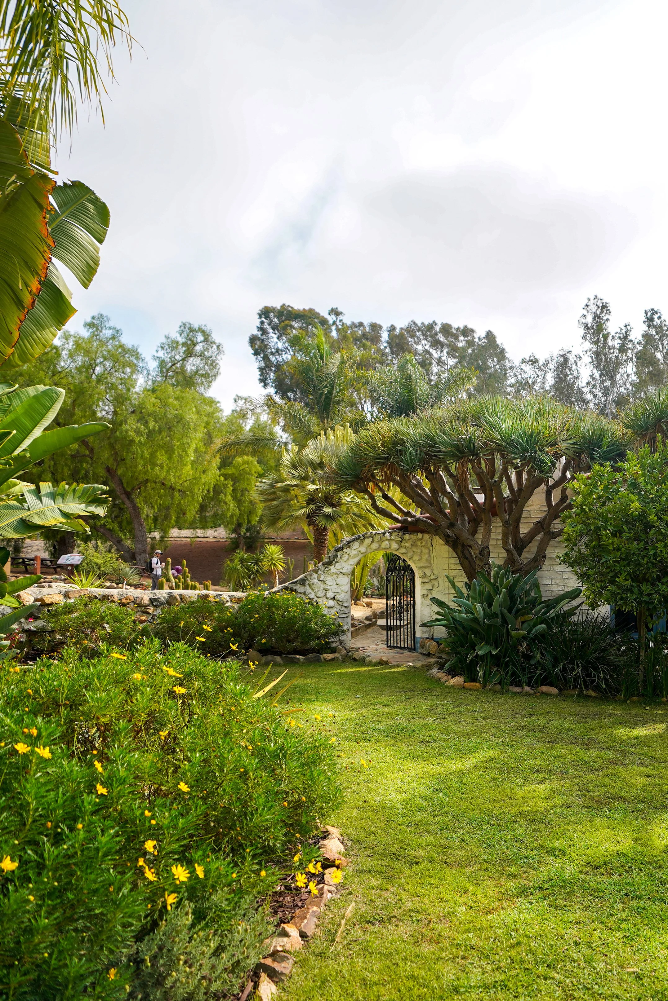 A lush garden with various green plants, including banana leaves and a stone pathway leading to a white brick archway and black gate, with trees and a cloudy sky in the background.