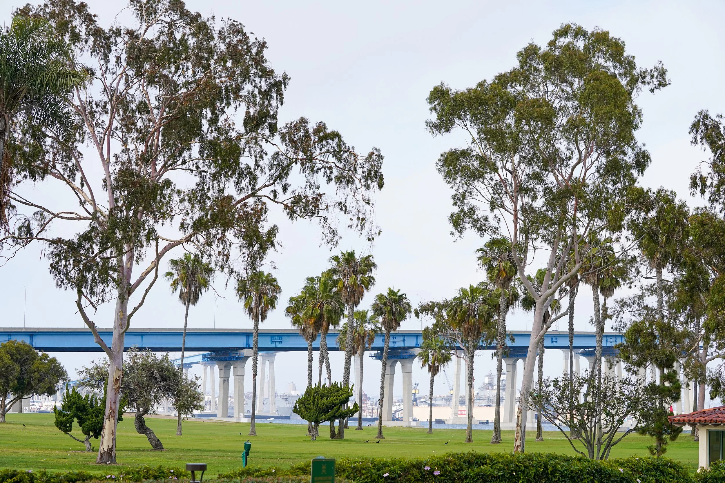 A park scene with a grassy area, several tall trees, and a blue bridge structure in the background over a body of water with ships, and a cloudy sky above.